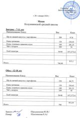 28 января